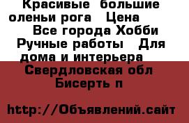 Красивые  большие оленьи рога › Цена ­ 3 000 - Все города Хобби. Ручные работы » Для дома и интерьера   . Свердловская обл.,Бисерть п.